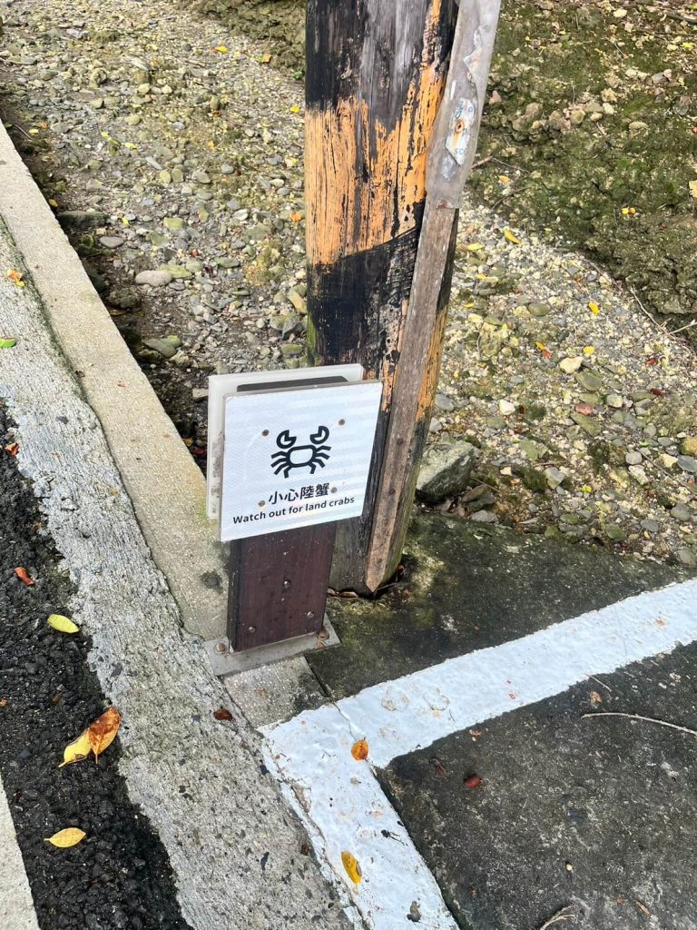 小琉球小心陸蟹